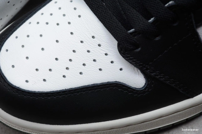 Reps LUCY 1 Clay High 555088-135 Air Green Jordan OG Retro 0814